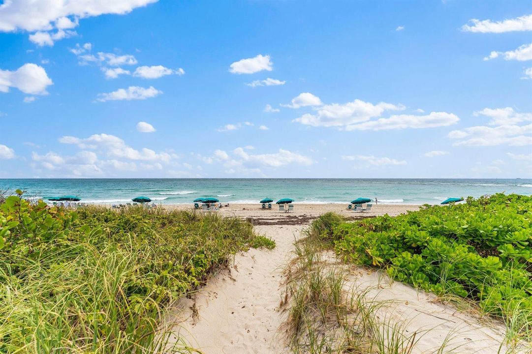 Beach Access