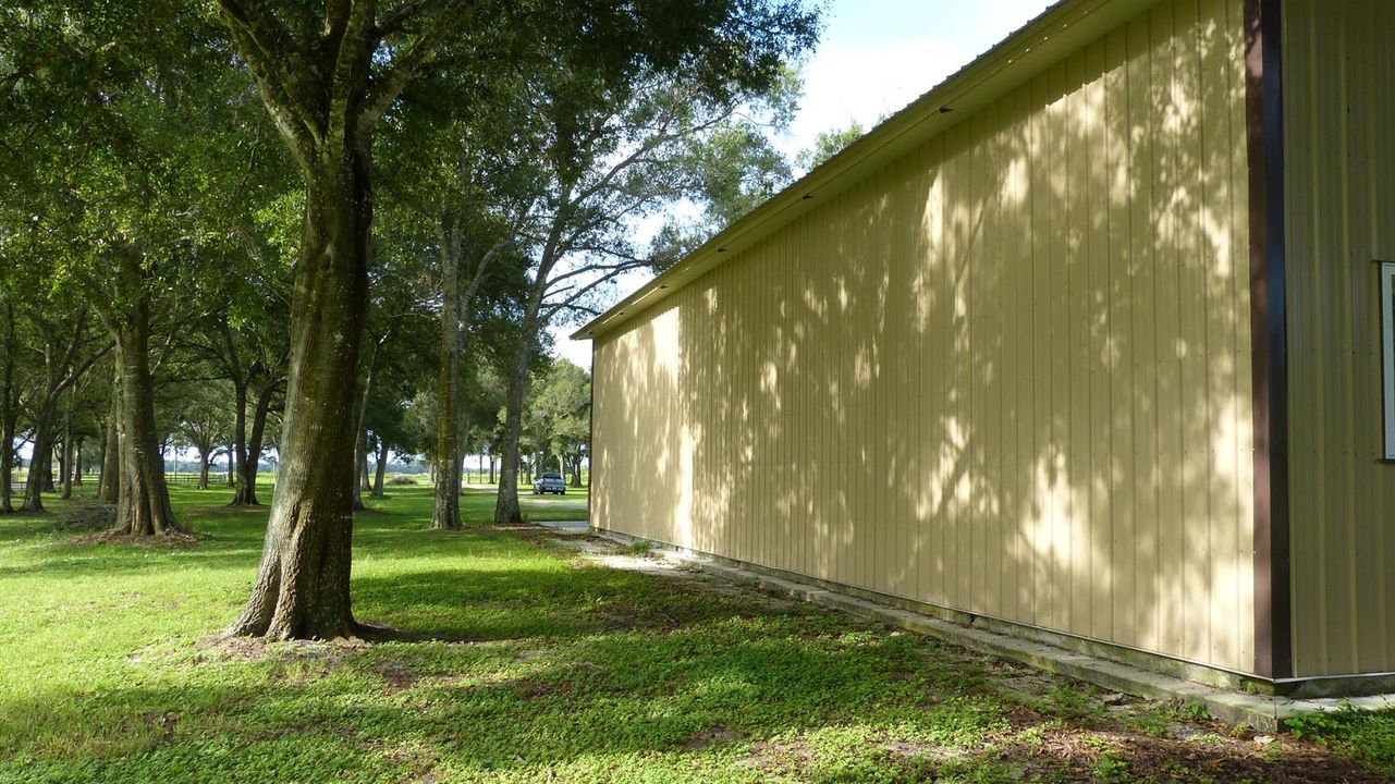 17-P1030520