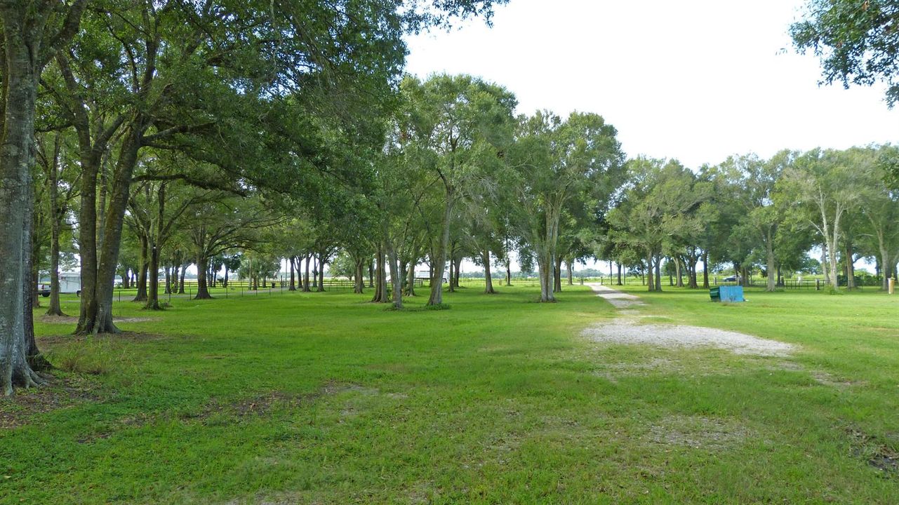 19-P1030522