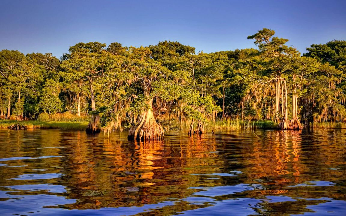img-discover-fellsmere-1