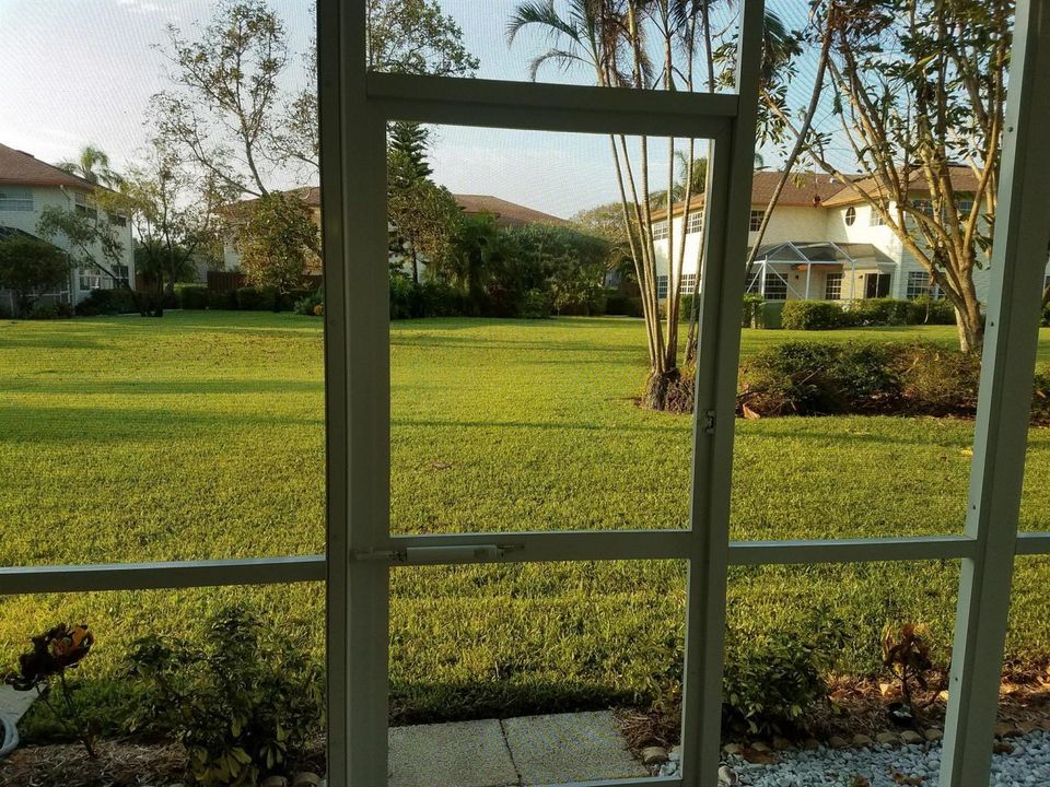 View from Patio