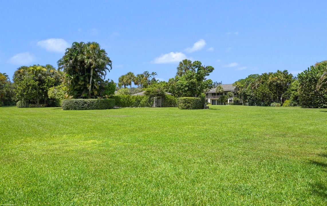 13334 Polo Club Rd Apt 229 033