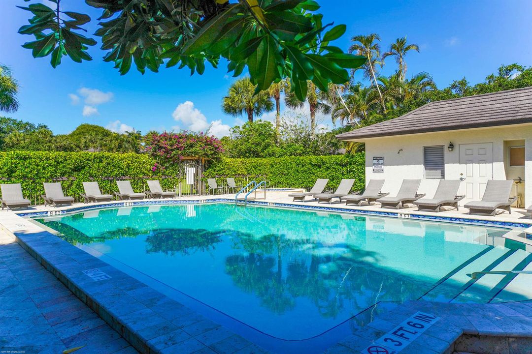 Palm Beach Polo Pool a AAP 2026