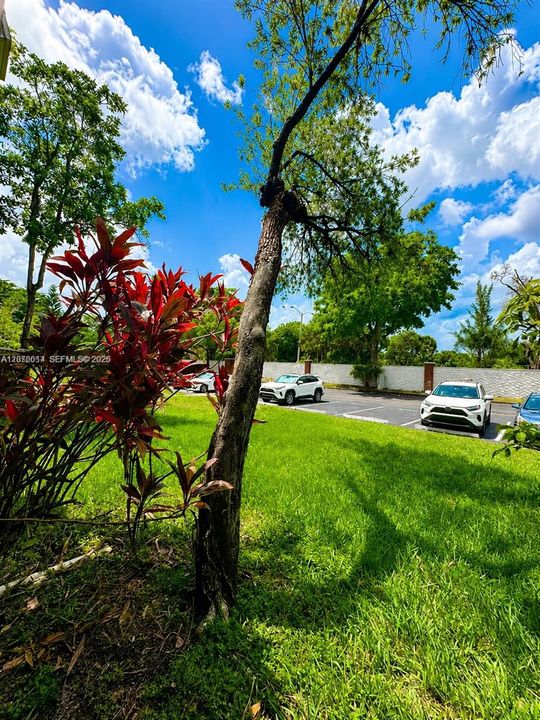 For Rent: $1,350 (0 beds, 1 baths, 550 Square Feet)