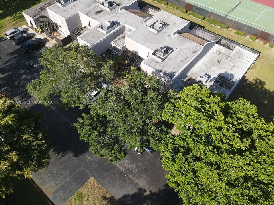На продажу: $415,000 (3 спален, 2 ванн, 1323 Квадратных фут)