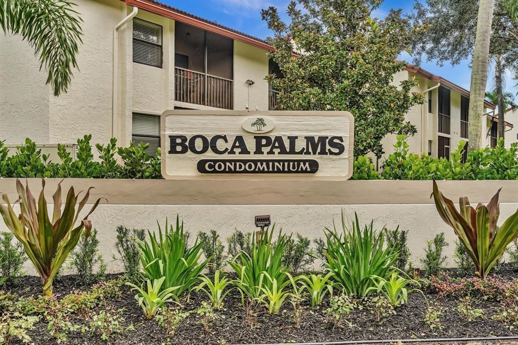 Bocapalms1