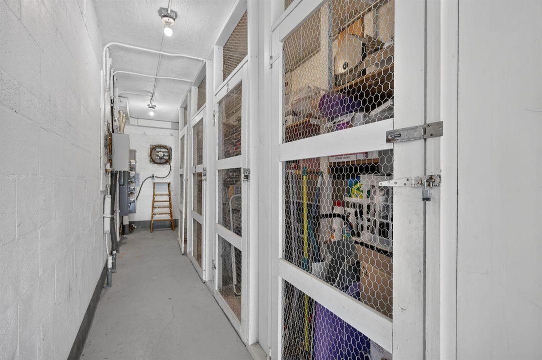 33-web-or-mls-5P1A1164