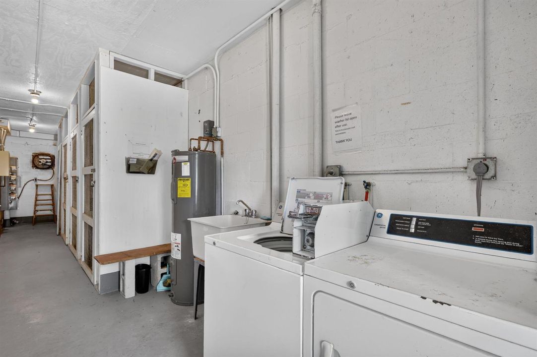 32-web-or-mls-5P1A1159