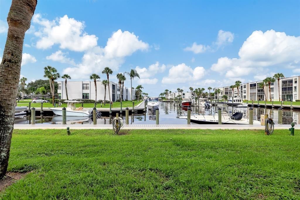 Water View