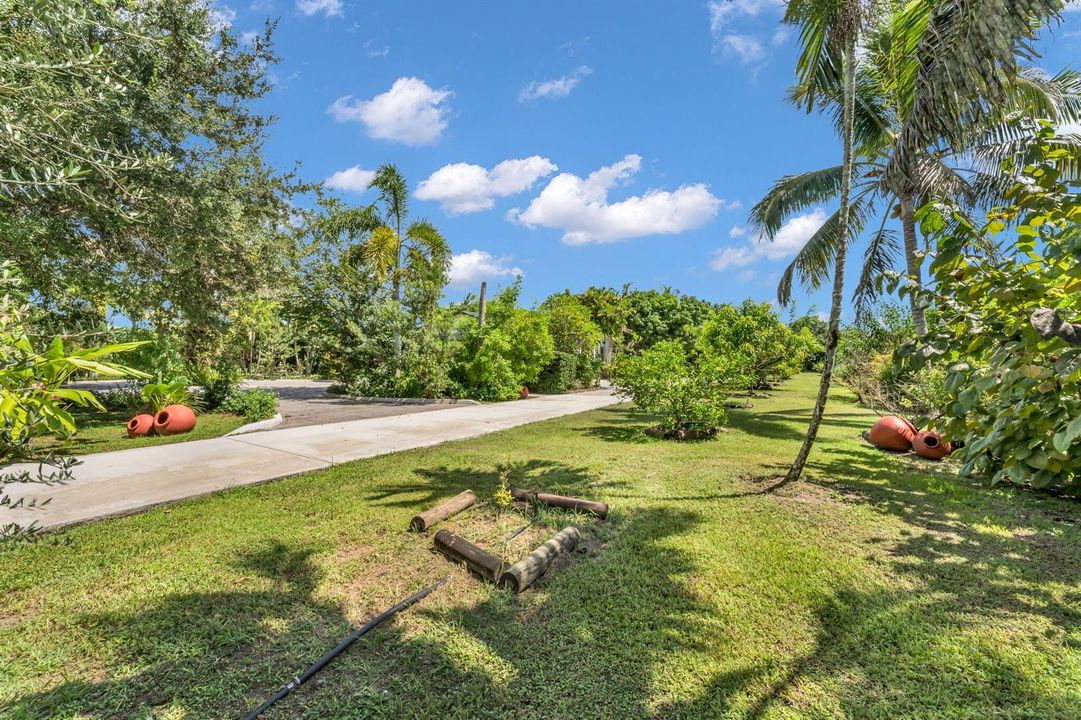 77-web-or-mls-DON03805