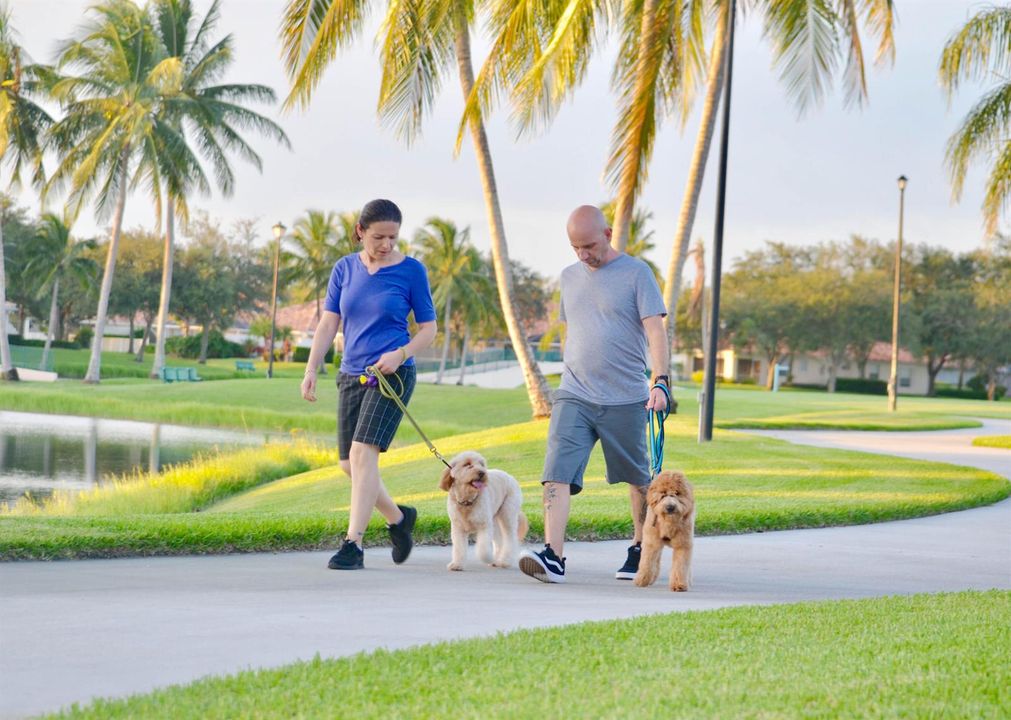 20 Walking dogs