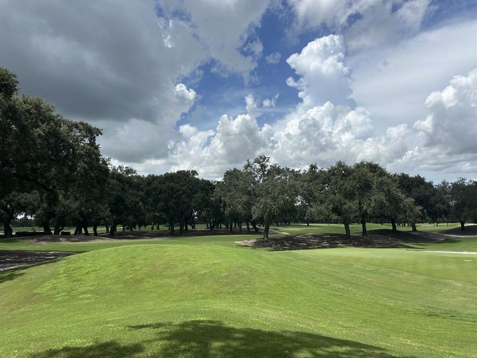 Golf 11
