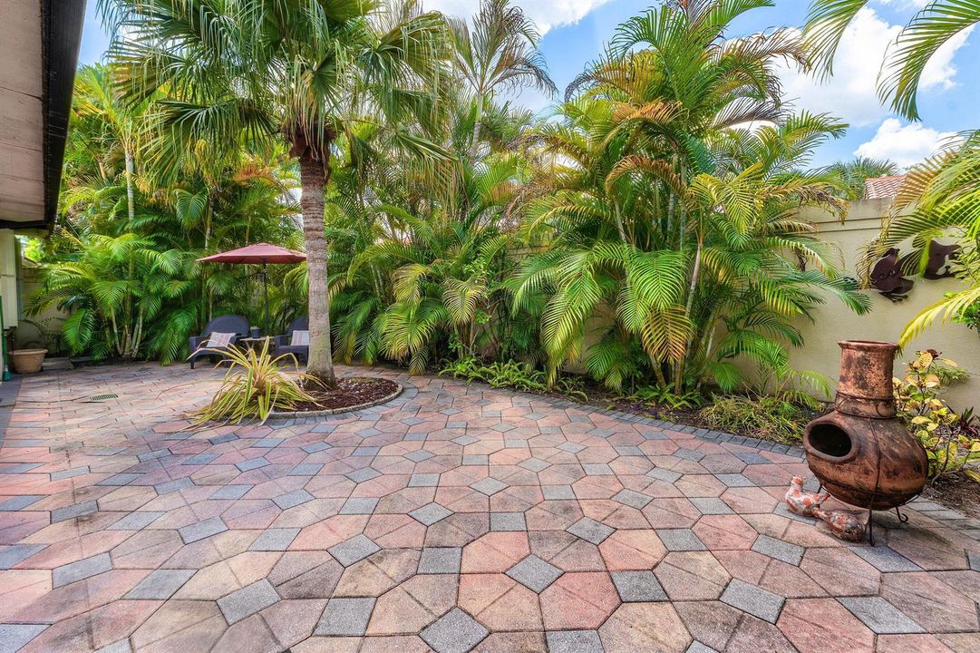 back yard