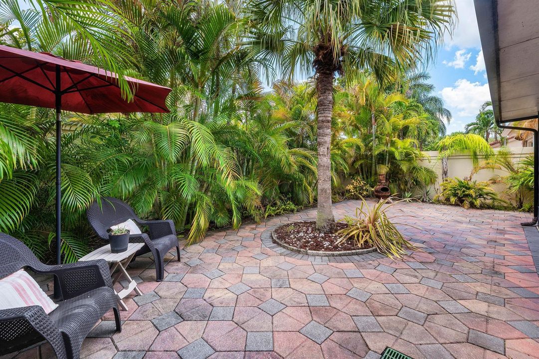 back yard