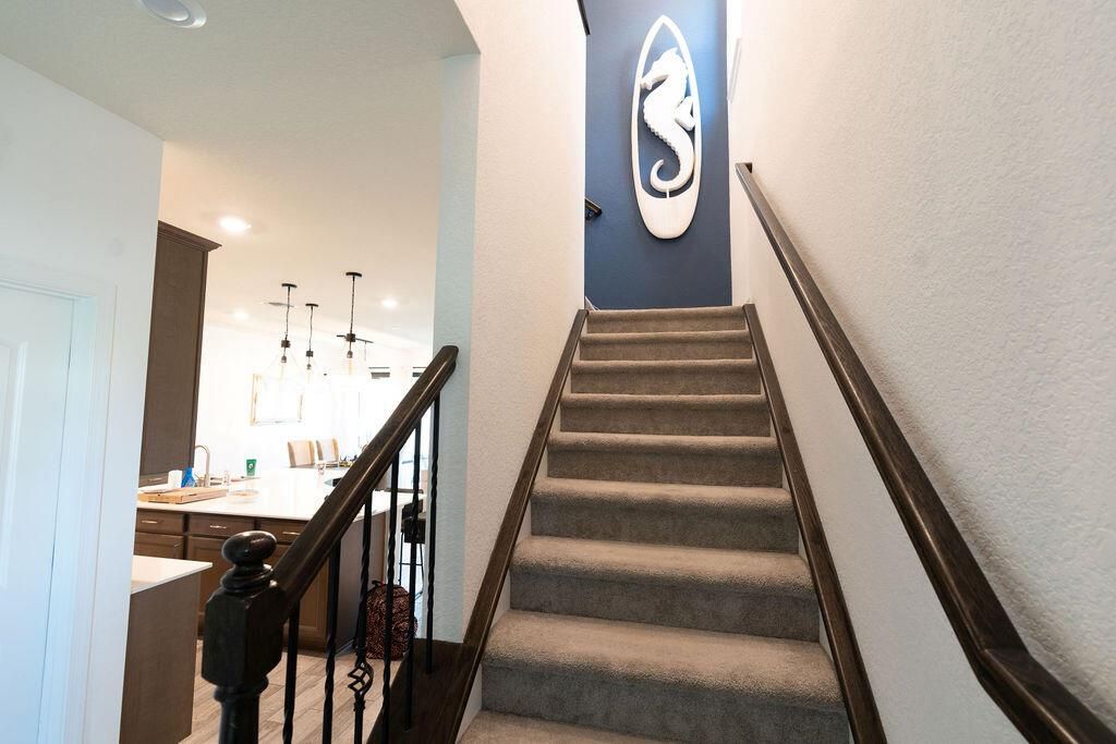 8217CadeNoir-20