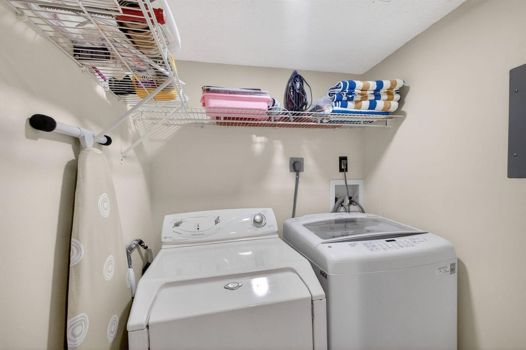 36-web-or-mls-5D1A2692