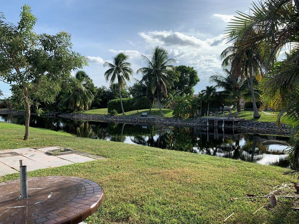 Yard View