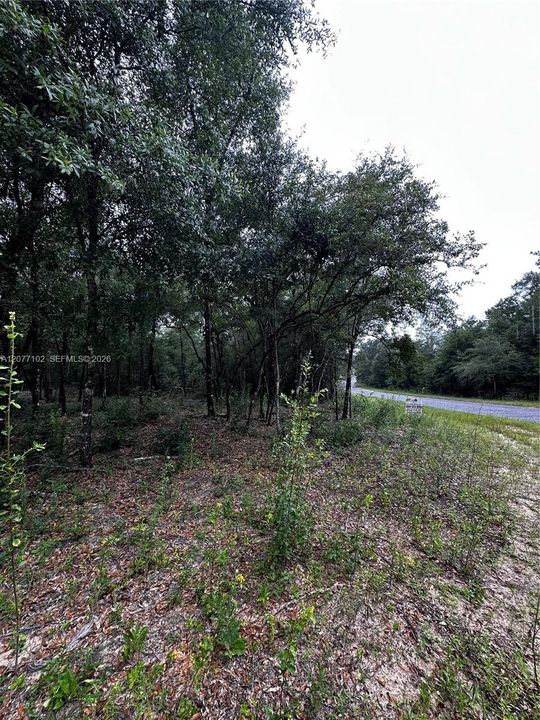 待售: $14,200 (0.31 acres)