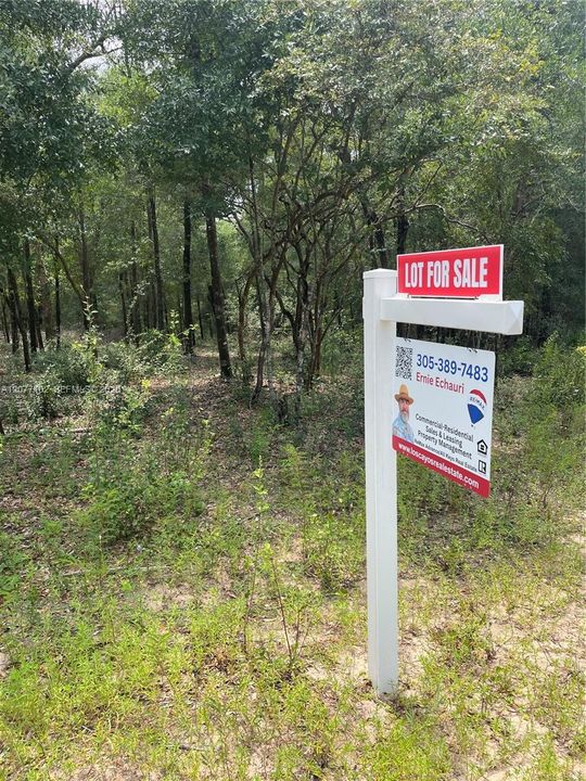待售: $14,200 (0.31 acres)