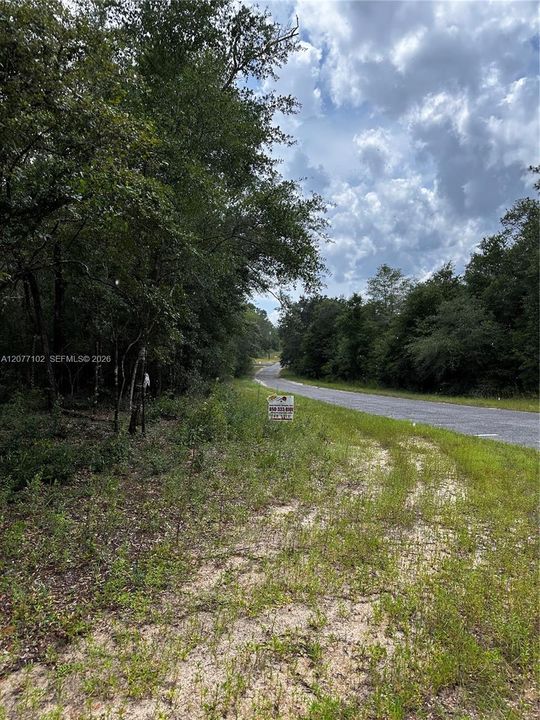 待售: $14,200 (0.31 acres)