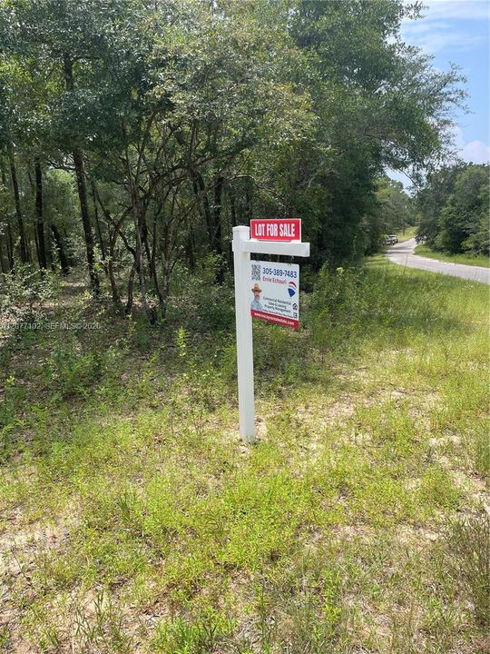 待售: $14,200 (0.31 acres)