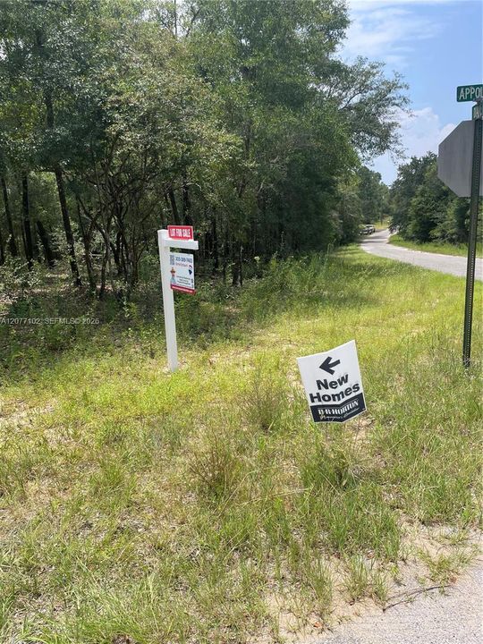 待售: $14,200 (0.31 acres)