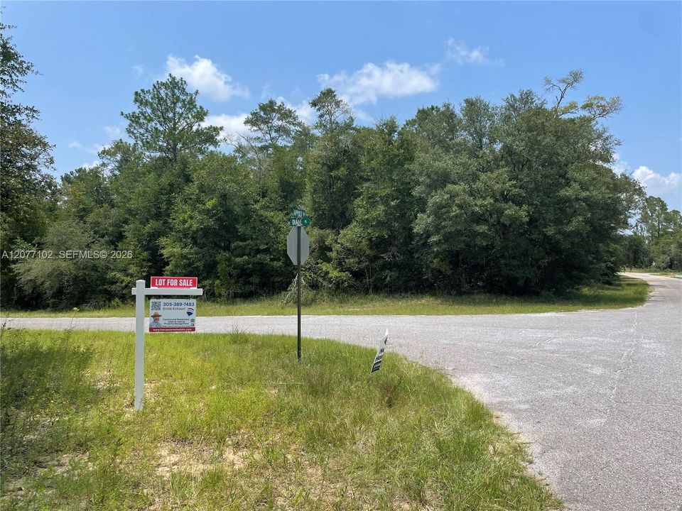 待售: $14,200 (0.31 acres)
