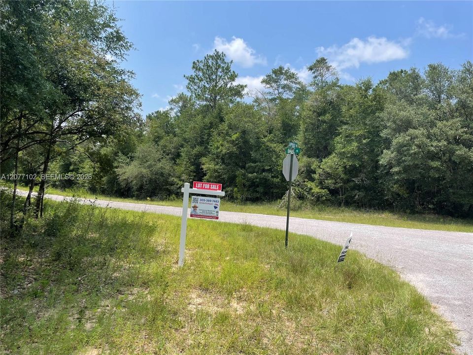 待售: $14,200 (0.31 acres)