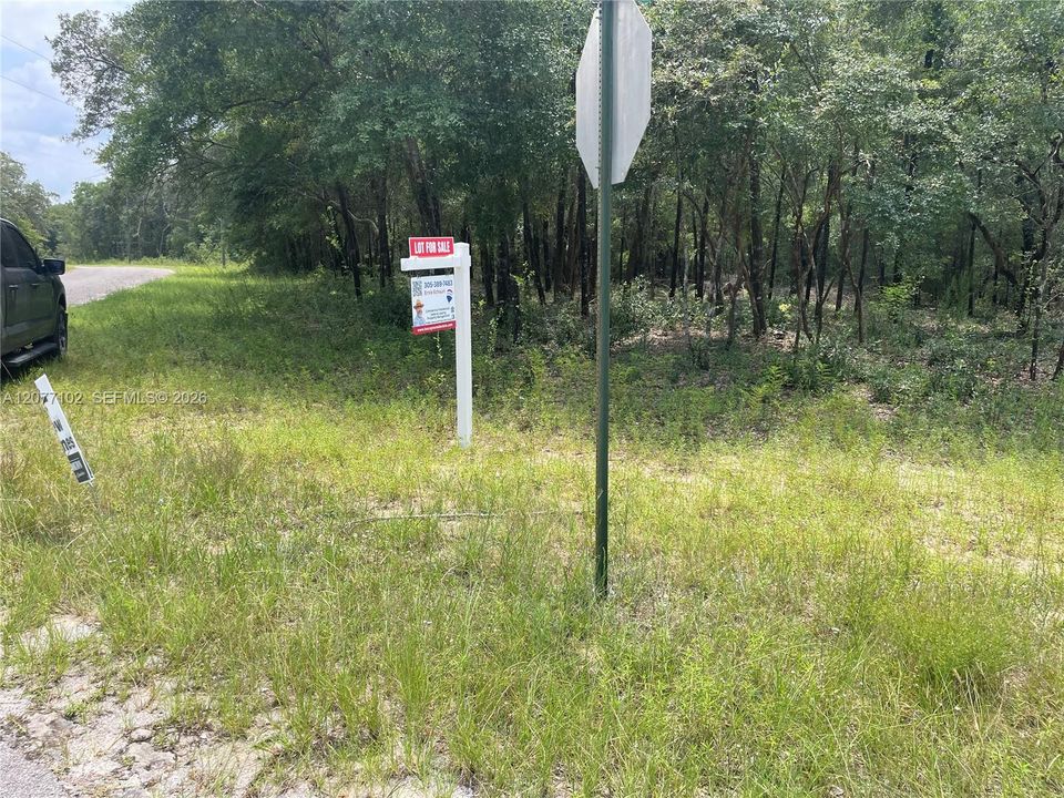 待售: $14,200 (0.31 acres)