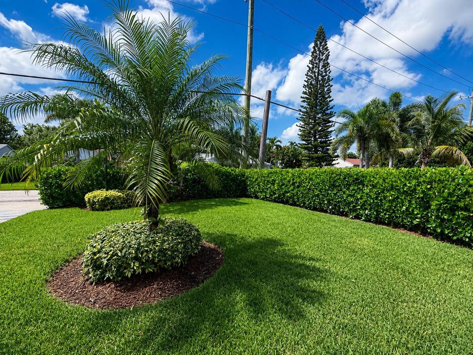 Yard