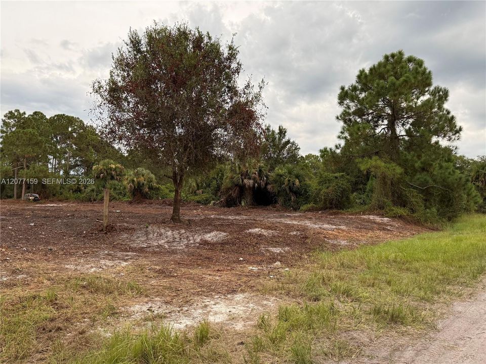 En Venta: $69,999 (1.25 acres)