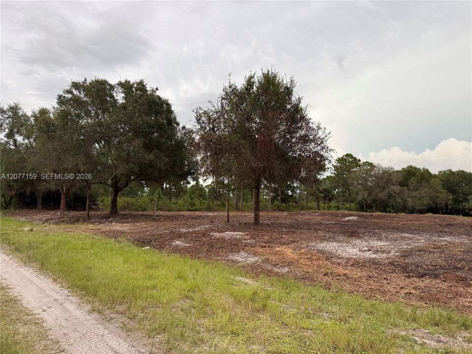 En Venta: $69,999 (1.25 acres)