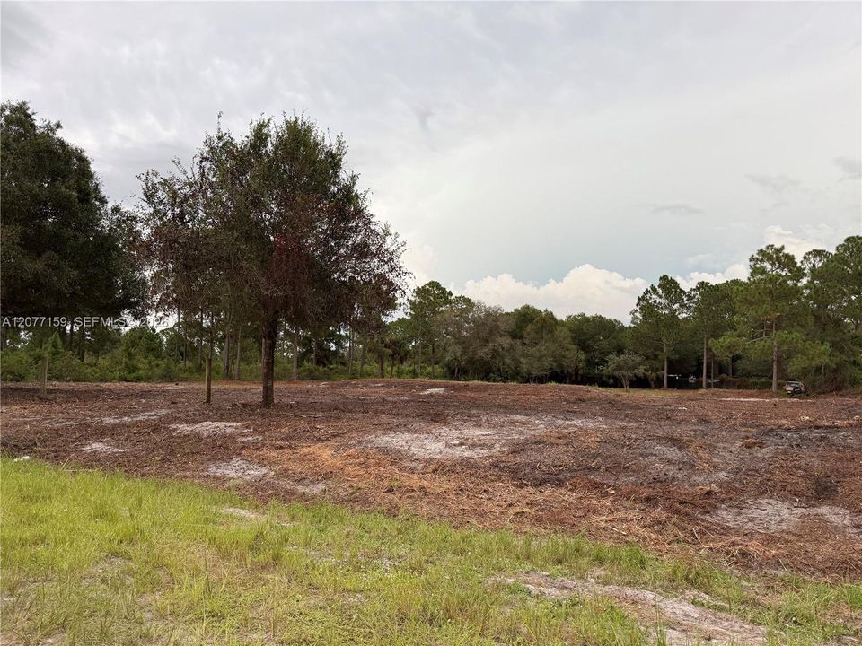 En Venta: $69,999 (1.25 acres)