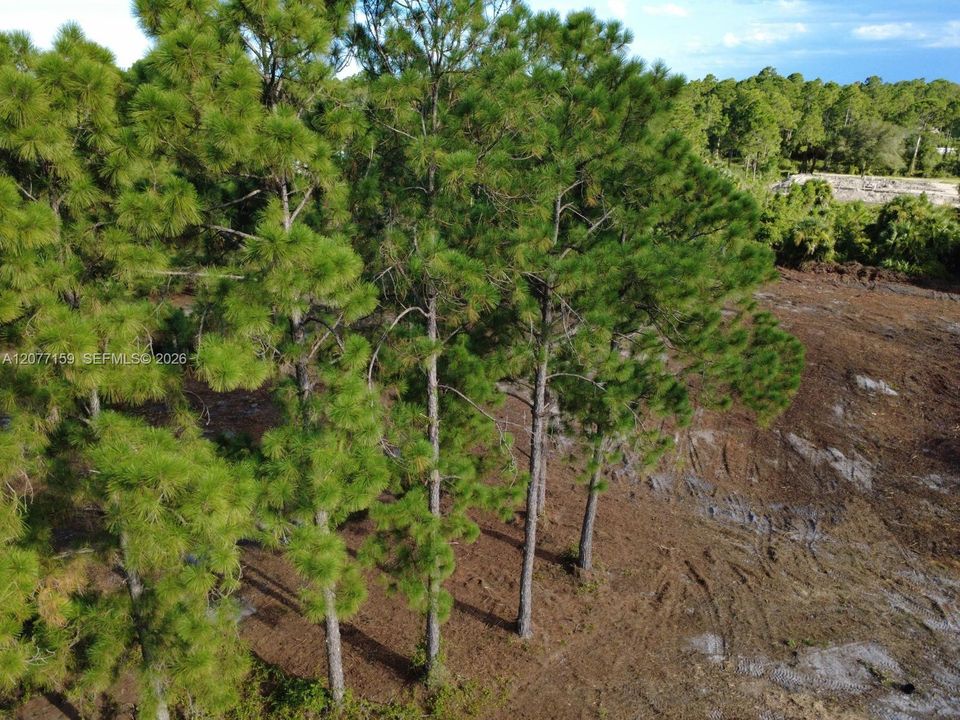 En Venta: $69,999 (1.25 acres)