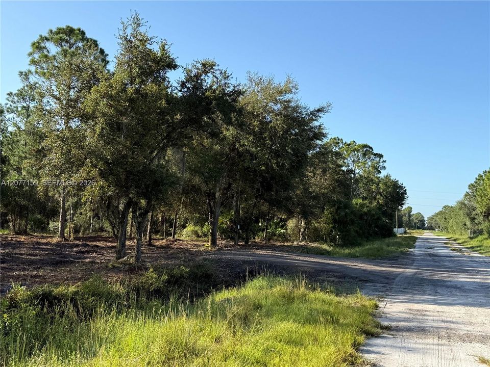 En Venta: $69,999 (1.25 acres)