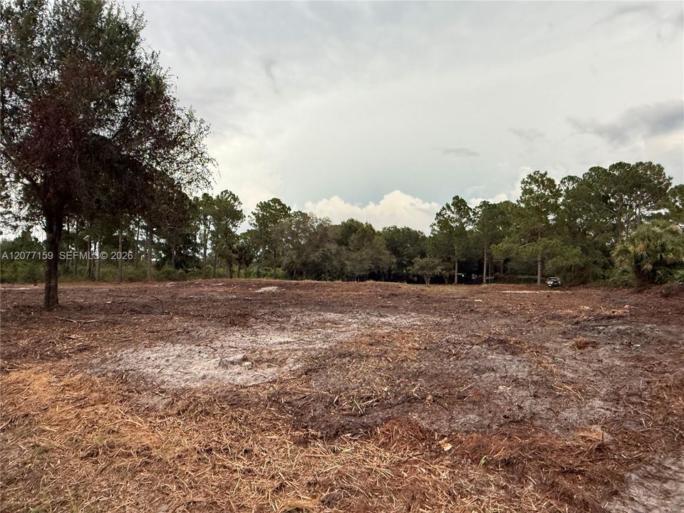 En Venta: $69,999 (1.25 acres)