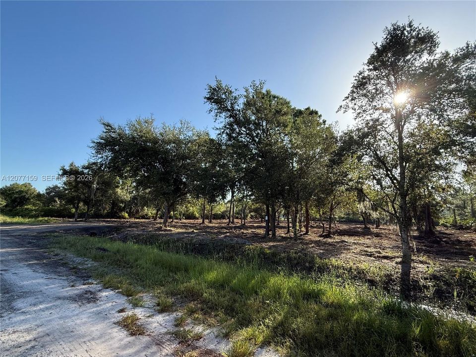 En Venta: $69,999 (1.25 acres)