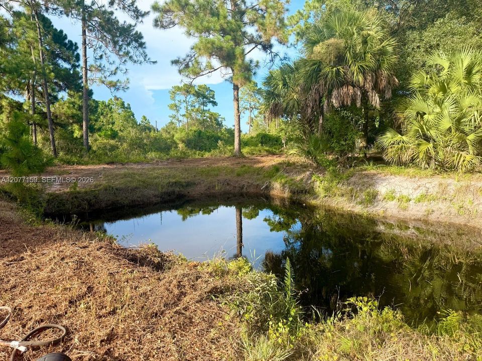 En Venta: $69,999 (1.25 acres)