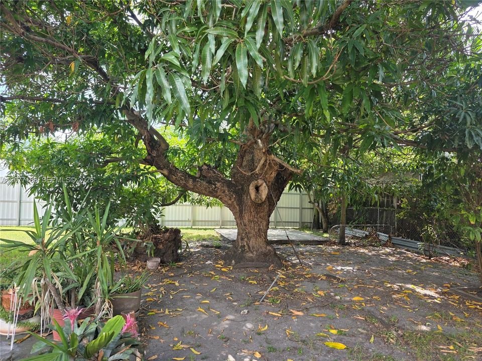 En Venta: $609,995 (3 camas, 2 baños, 1491 Pies cuadrados)