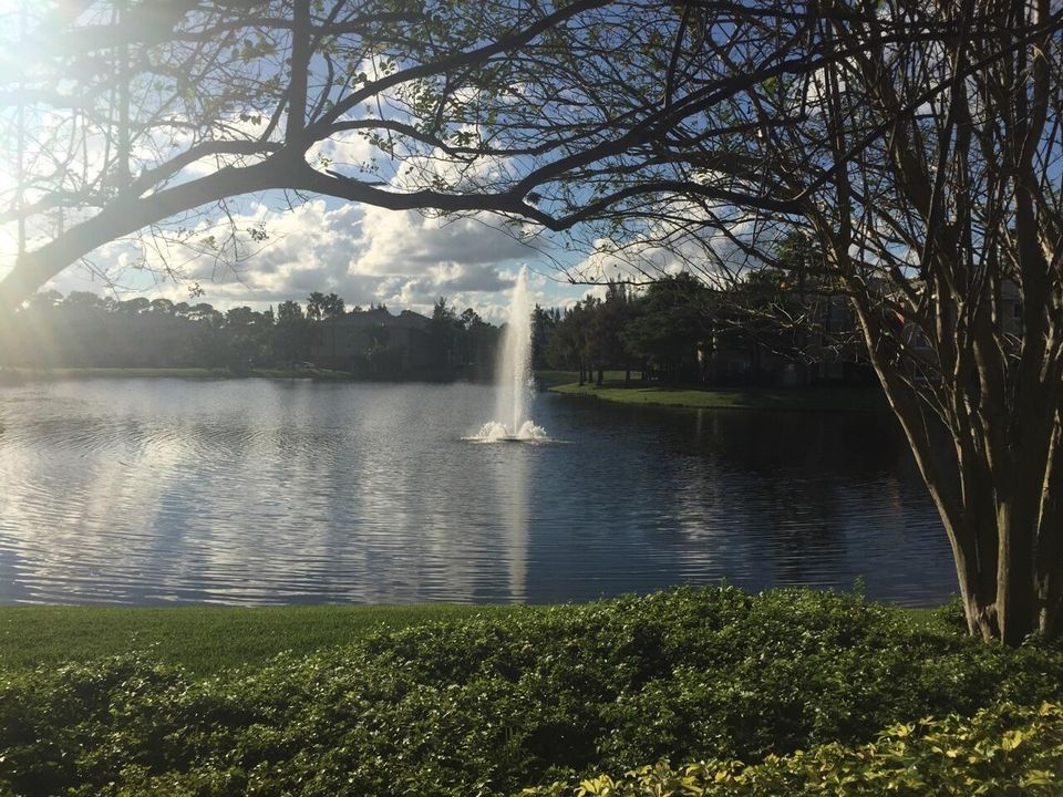 Lake
