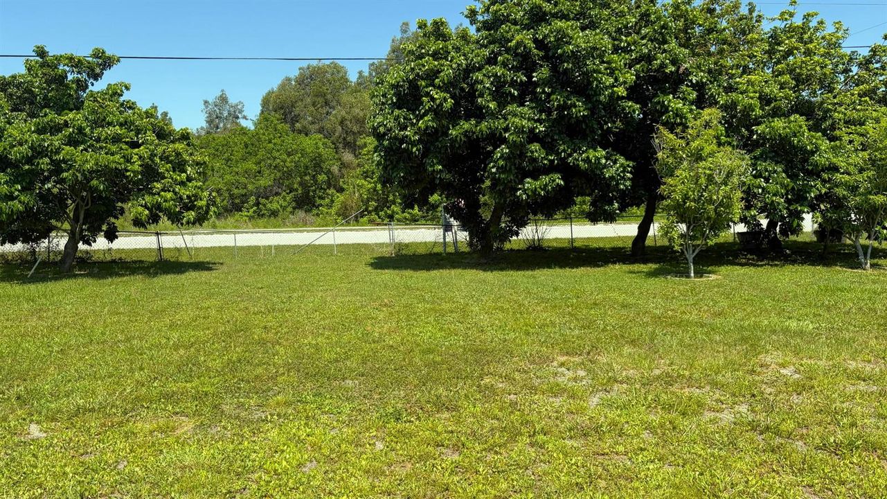 yard