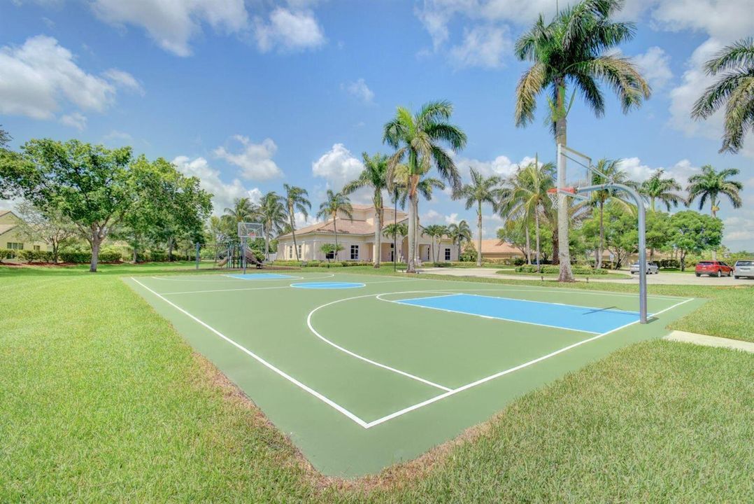 Basketball Court