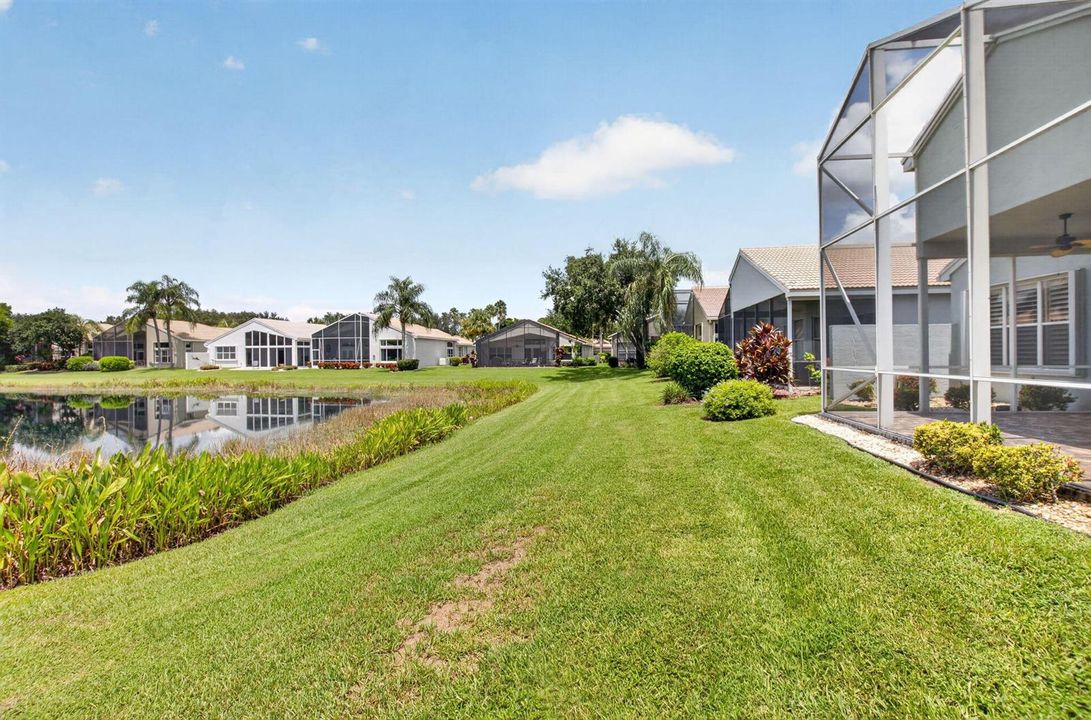 BACKYARD VIEW