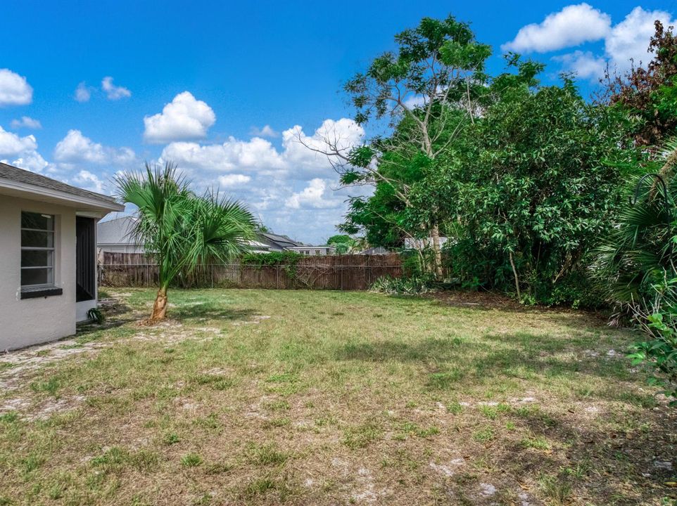 exterior - backyard 3