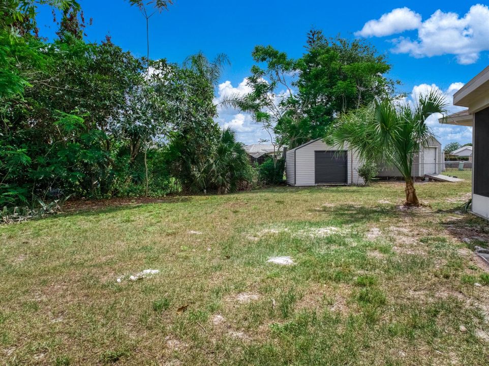 exterior - backyard 1