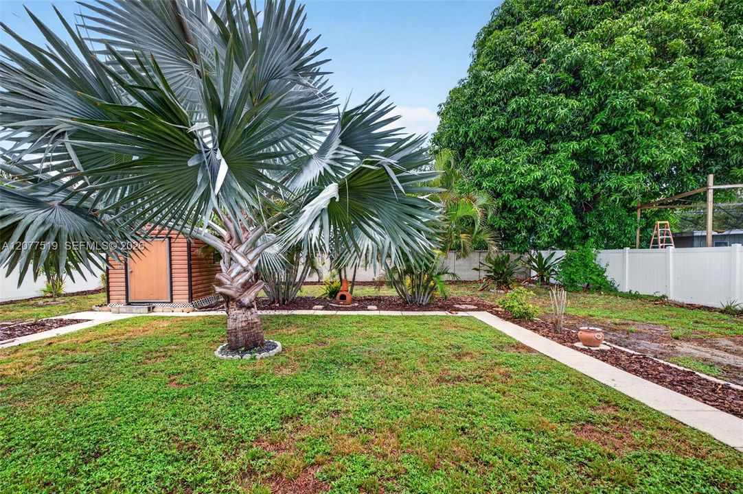 Mature palms and established landscaping enhance the home's outdoor setting.