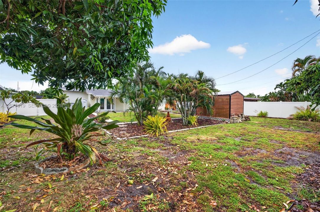 Expansive backyard with mature palms, covered patio space and room for a pool, RV or boat trailer.