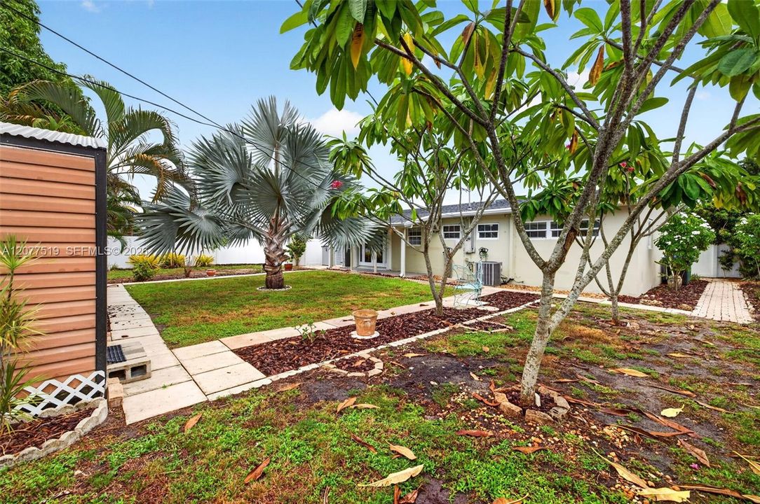 Expansive backyard with mature palms, covered patio space and room for a pool, RV or boat trailer.