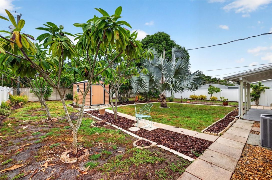 Expansive backyard with mature palms, covered patio space and room for a pool, RV or boat trailer.