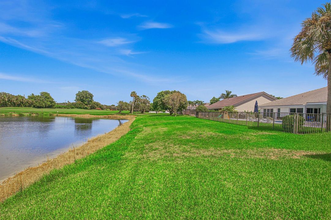 Backyard-Pond-B